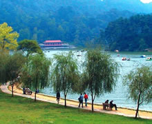 “泉城鏈”平臺啟動 全國首創(chuàng)政務(wù)數(shù)據(jù)可信共享新模式